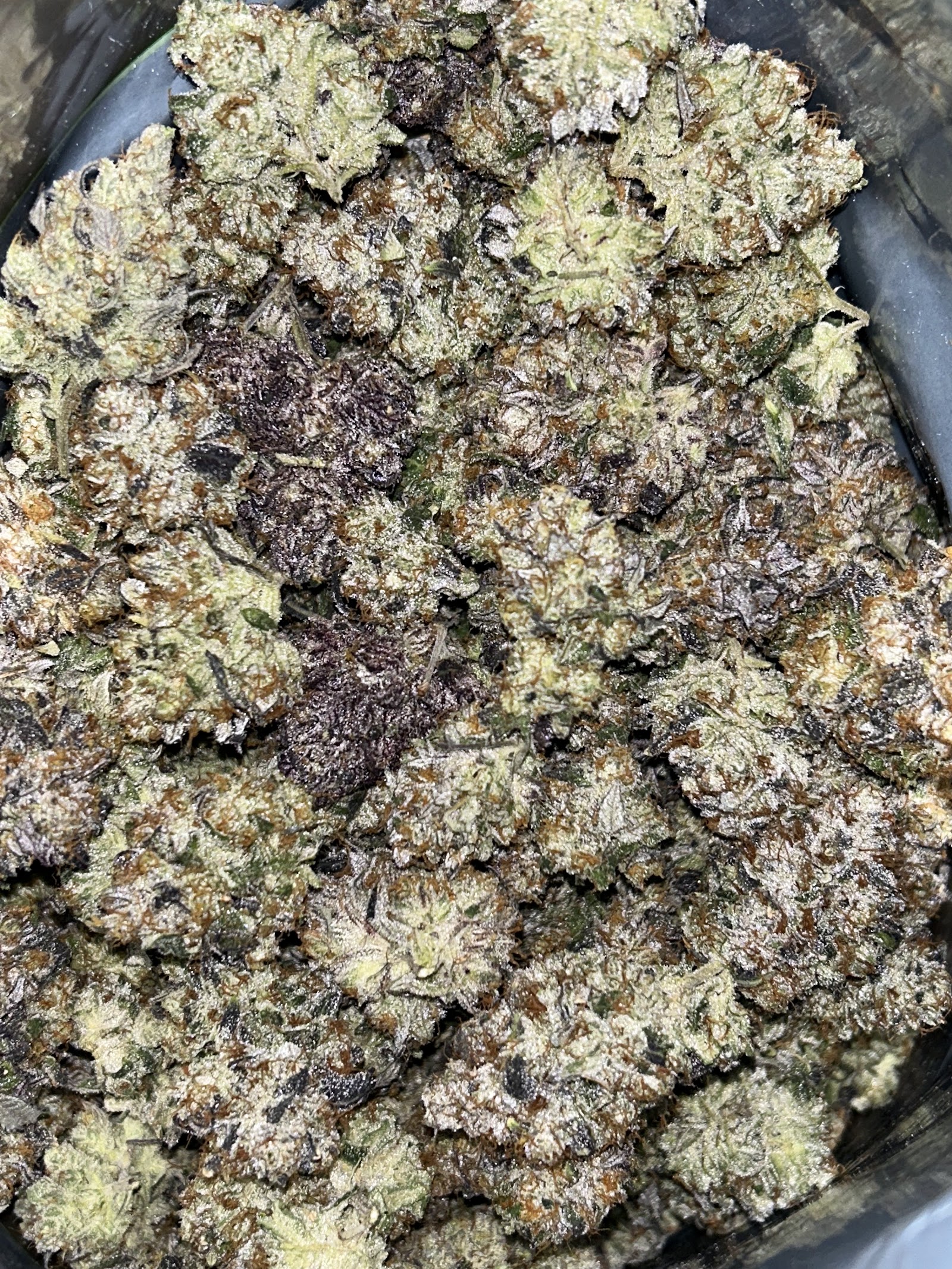 Overhead view of cured cannabis flower filling a jar, dense buds frosted white with amber hairs running through